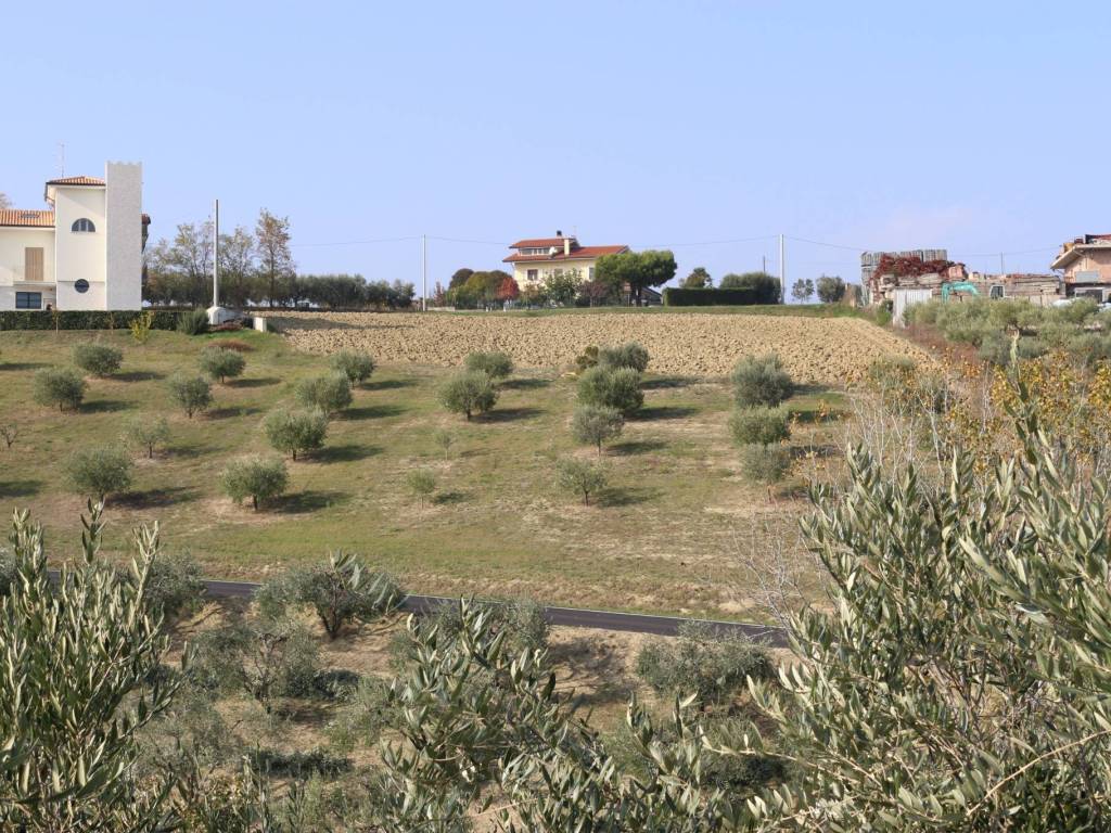 Terreno a Tortoreto - Foto 4
