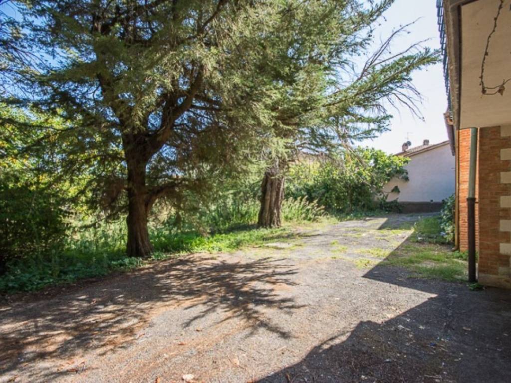 Casa indipendente a Pienza - Foto 5