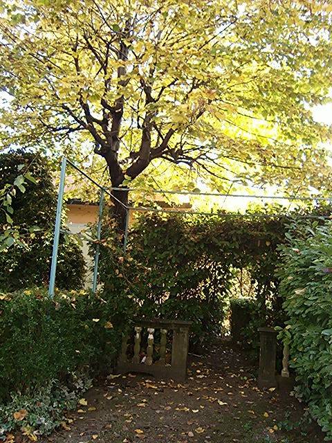 Appartamento a Settimo torinese in Via Giuseppe Verdi, 6 - Foto 5