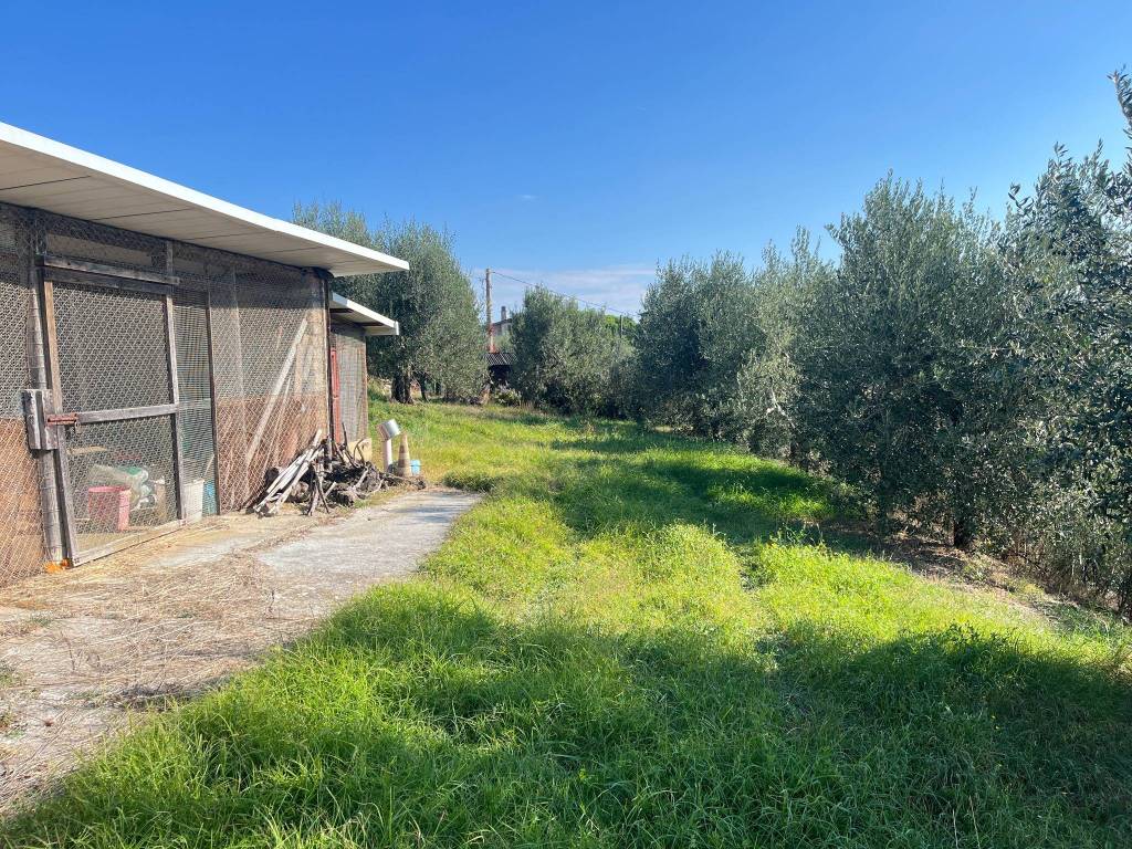 Terreno a Perugia in Via Bartolomeo Grazioli - Foto 5