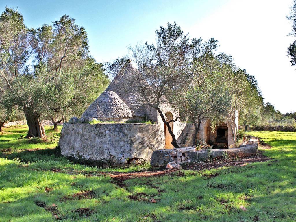 Rustico / casale a Carovigno - Foto 2
