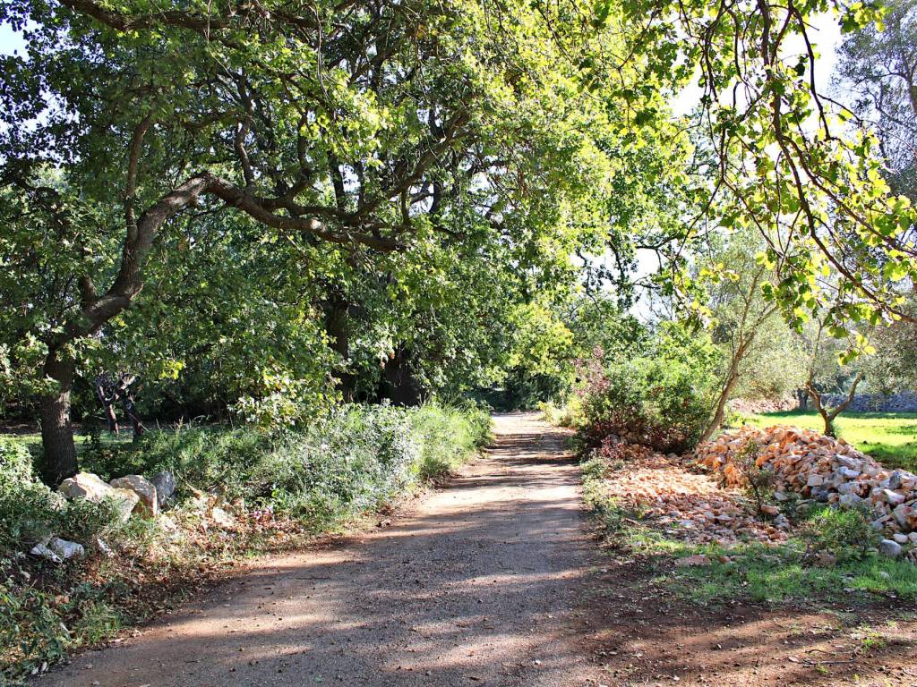 Rustico / casale a Carovigno - Foto 4