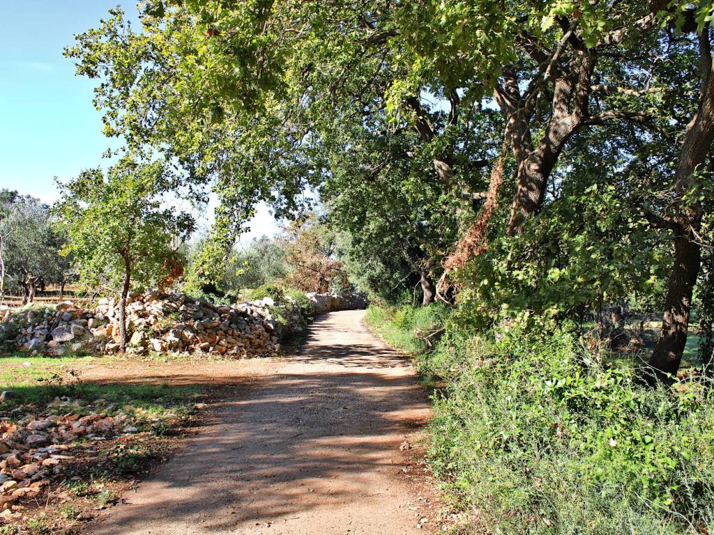 Rustico / casale a Carovigno - Foto 5