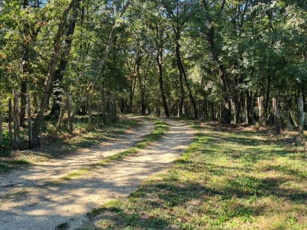 Villa a Tarquinia in strada provinciale roccaccia - Foto 4