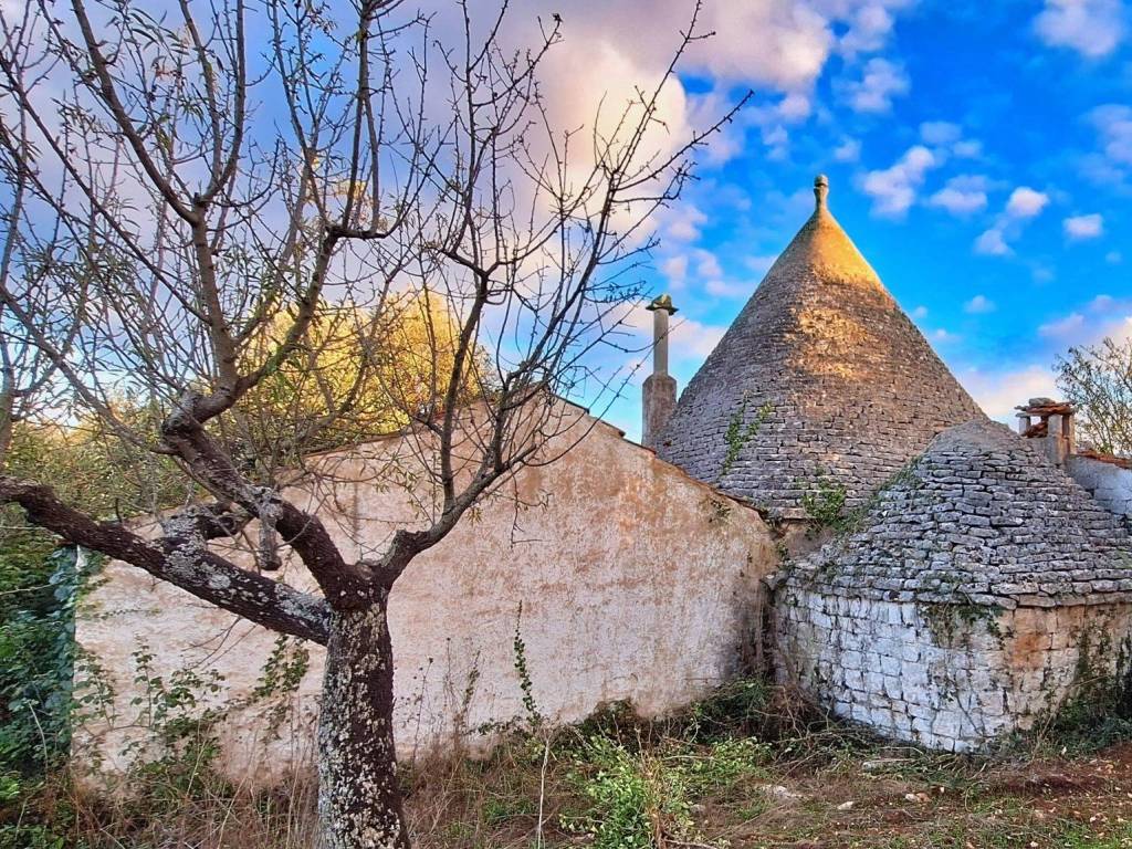 Rustico / casale a Castellana grotte in Strada Comunale Angiulli - Foto 5