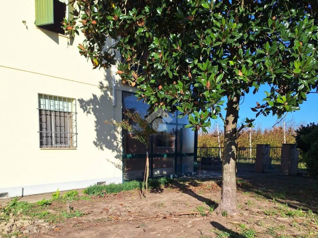 Casa indipendente a Bagnacavallo in Via Salame, 1 - Foto 4