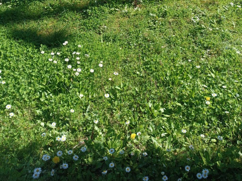 Rustico / casale a Carmignano in Via Baccheretana, 1 - Foto 5