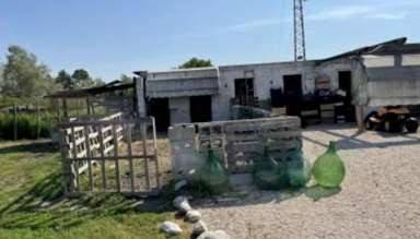 Villa a Palazzolo dello stella in Via Acqua Bona - Foto 4