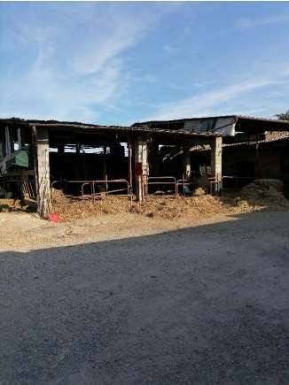 Appartamento a Palmanova in via Brazza - Foto 2