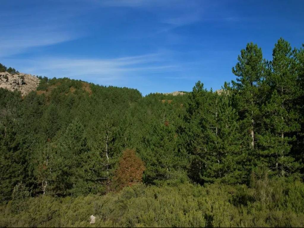 Villa a Tempio pausania - Foto 5