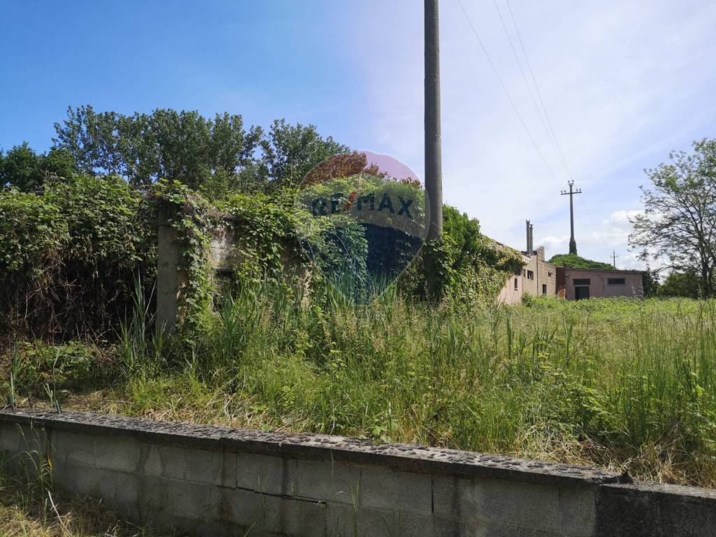 Terreno a Giussago - Foto 3