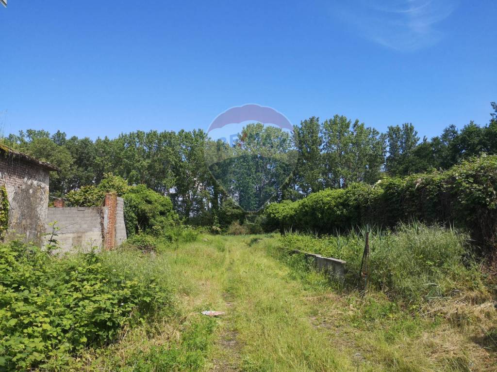 Terreno a Giussago - Foto 4