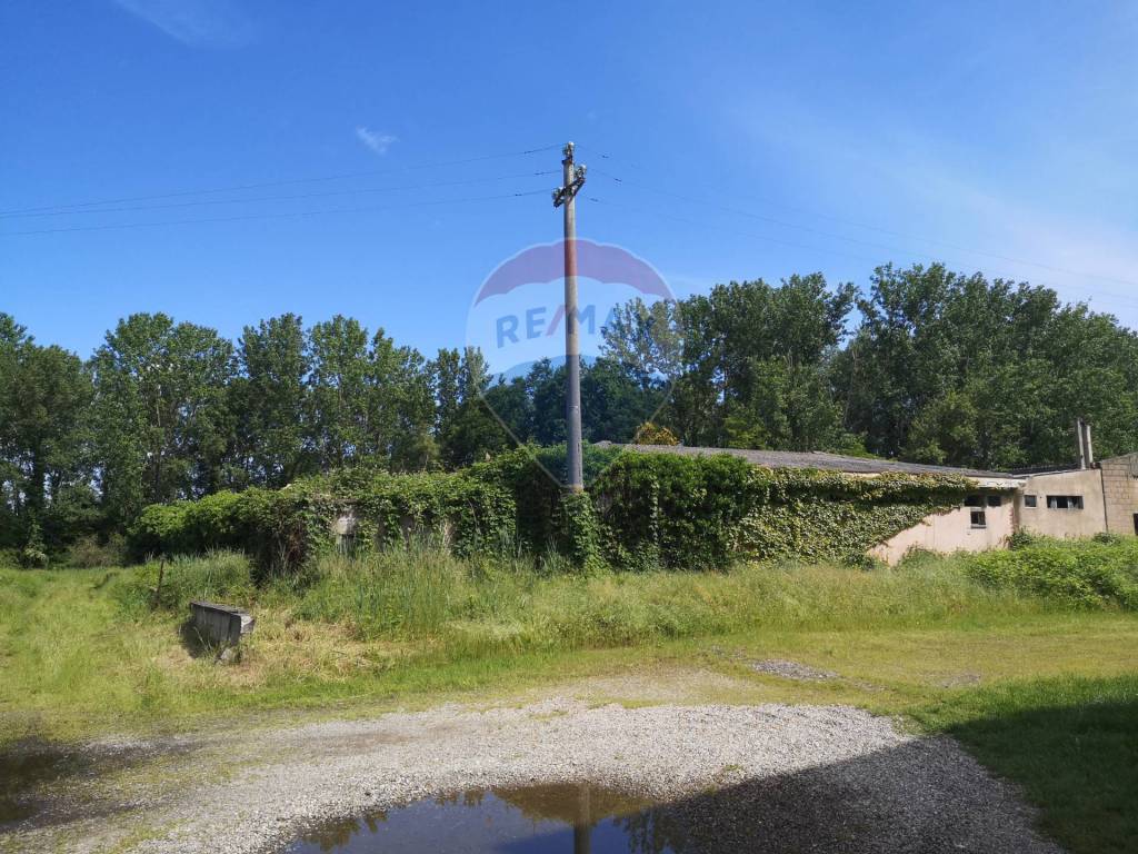 Terreno a Giussago - Foto 5