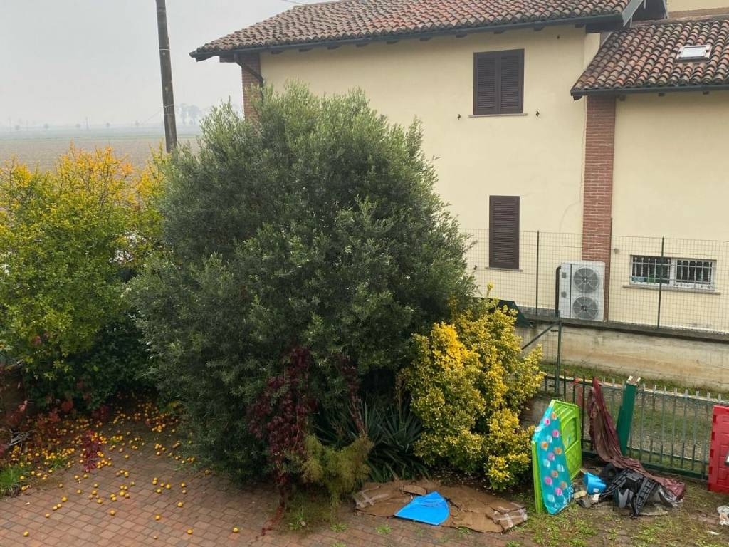 Casa indipendente a Bereguardo in Cascina Nuova - Foto 5