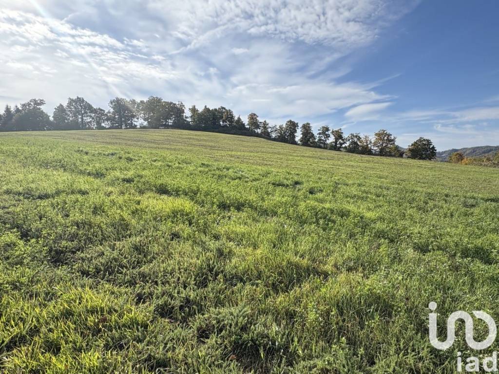 Terreno a Apecchio in LocalitÃ Pian della serra - Foto 4
