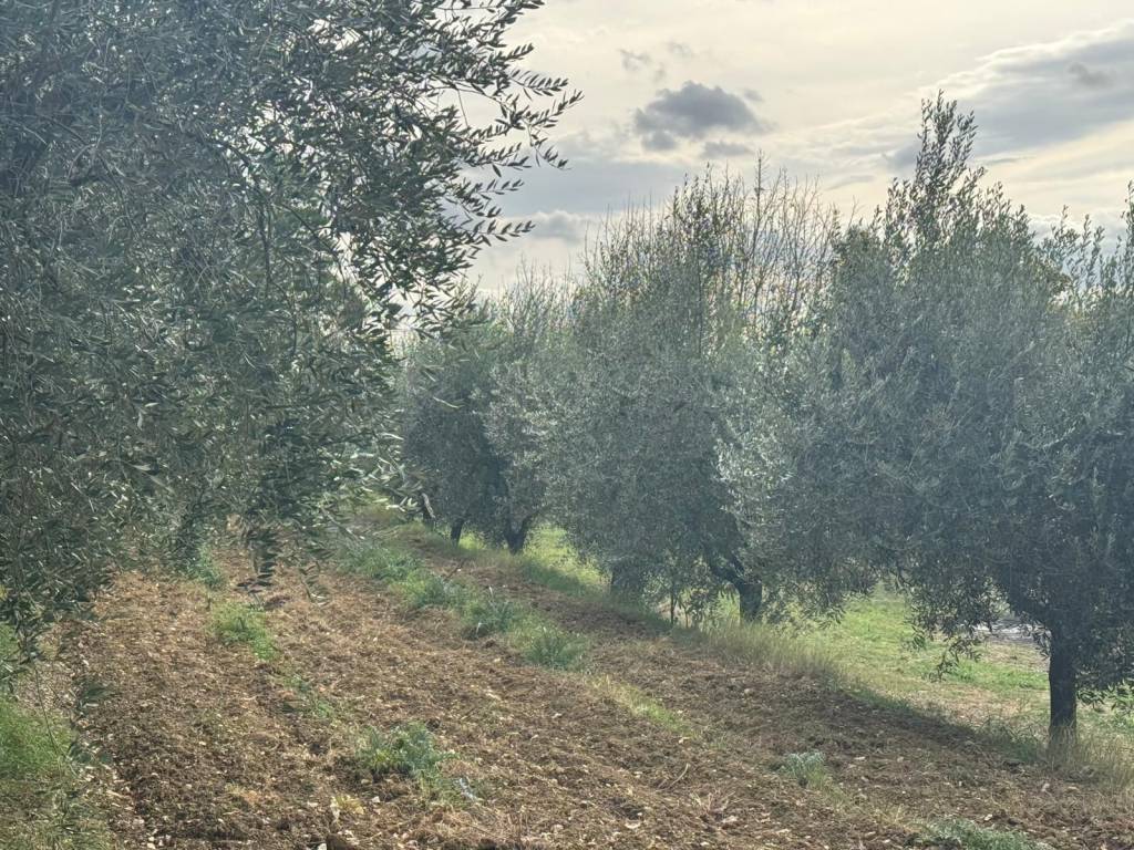 Rustico / casale a Perugia in Via San Girolamo - Foto 2