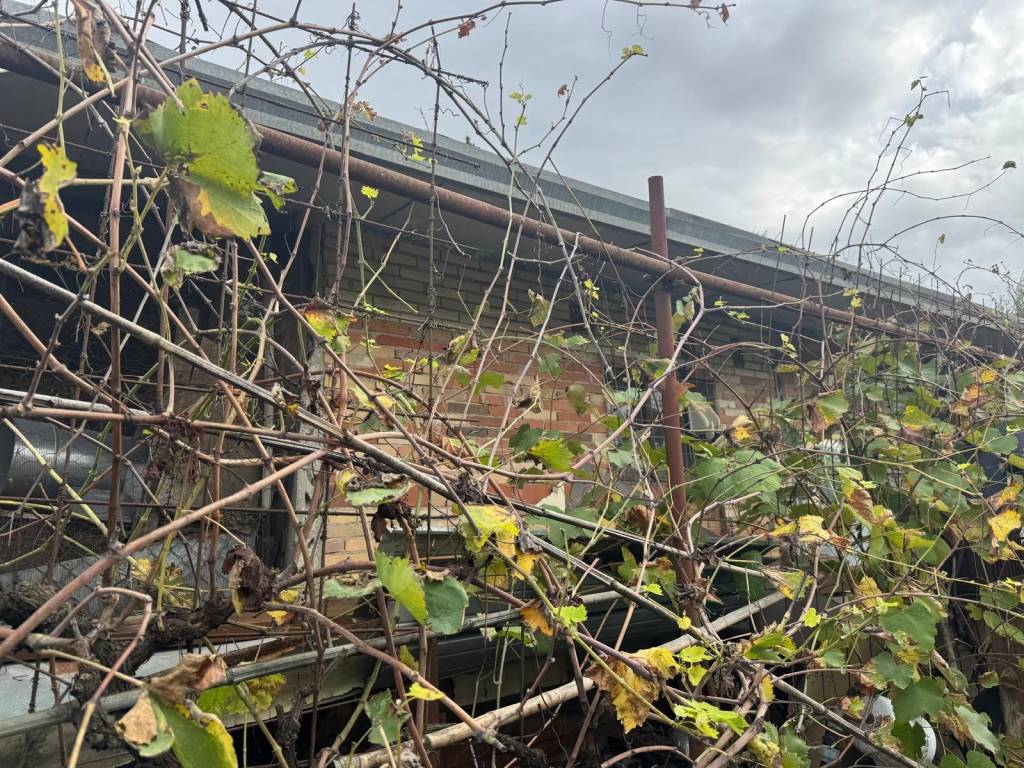 Rustico / casale a Perugia in Via San Girolamo - Foto 4