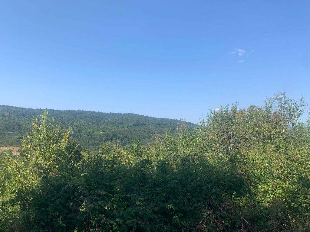 Terreno a Castelnuovo di val di cecina - Foto 2