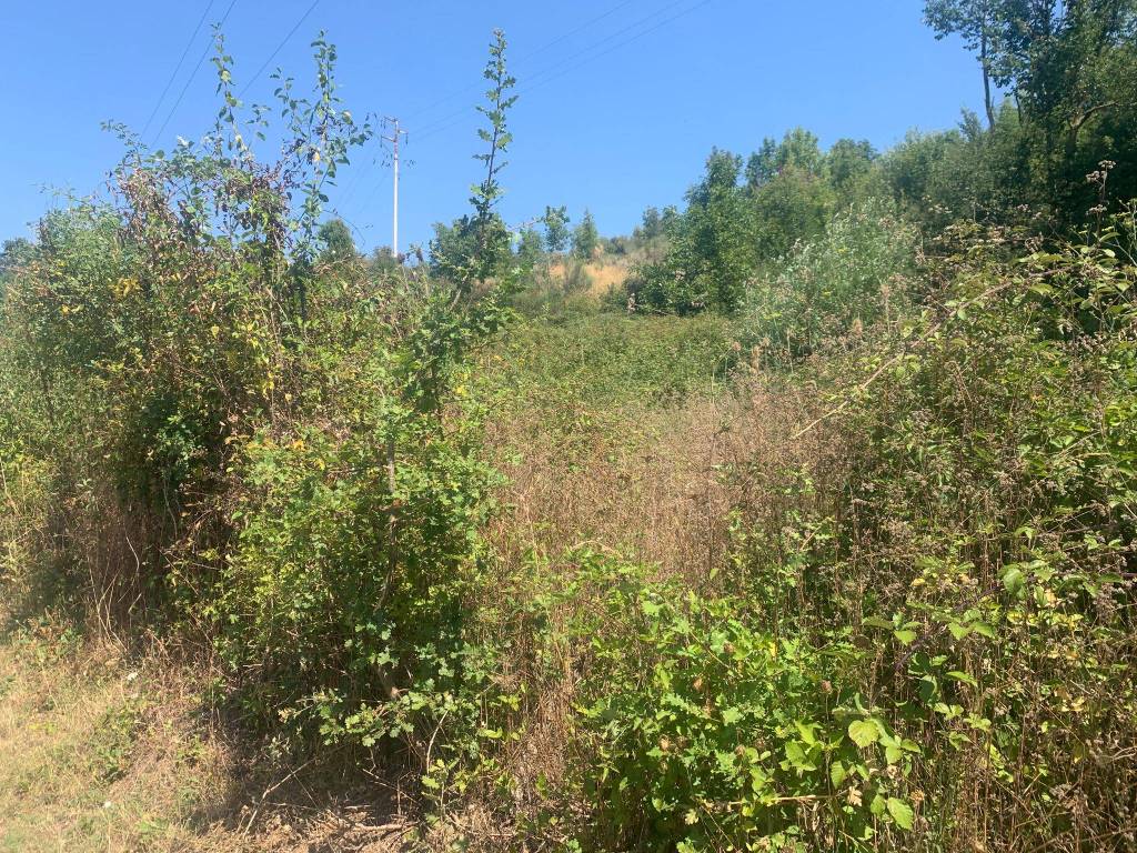 Terreno a Castelnuovo di val di cecina - Foto 3