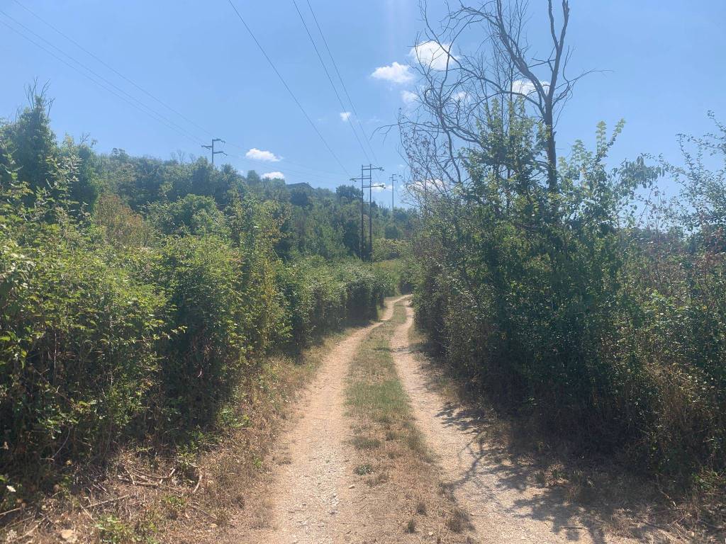Terreno a Castelnuovo di val di cecina - Foto 4
