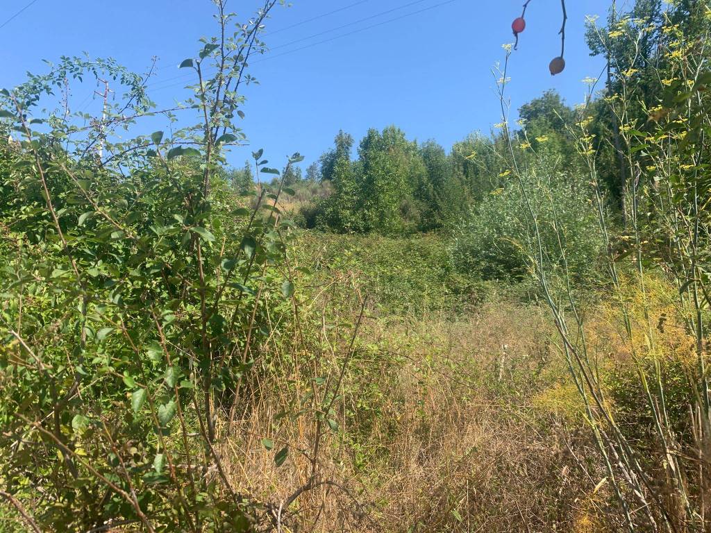 Terreno a Castelnuovo di val di cecina - Foto 5