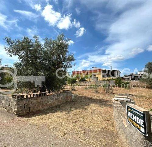 Terreno a Galatone in Via Papa Giovanni Xxiii - Foto 5