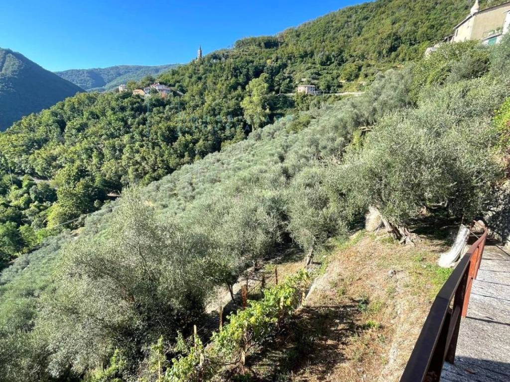Rustico / casale a Pieve di teco in Via la posta 12 - Foto 2