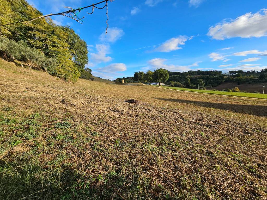 Rustico / casale a San severino marche - Foto 5