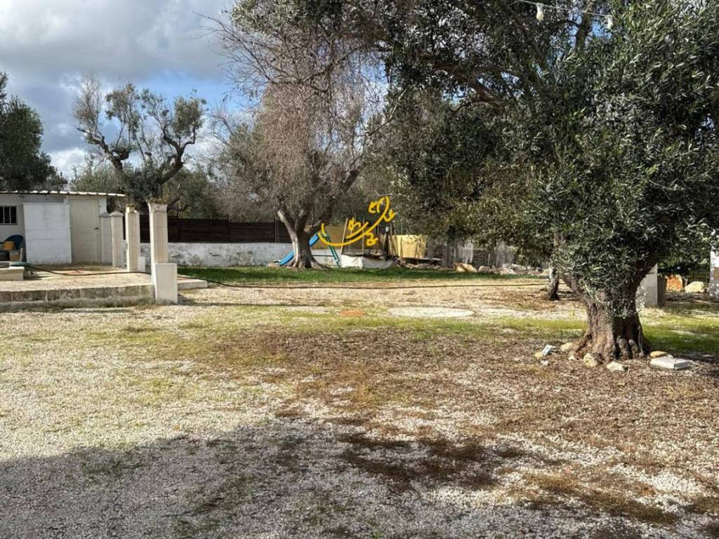 Rustico / casale a Ostuni in Contrada Grotta - Foto 4