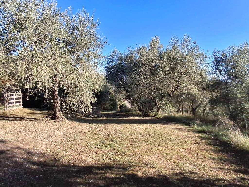 Terreno a Piegaro in Vocabolo Arcisa - Foto 2