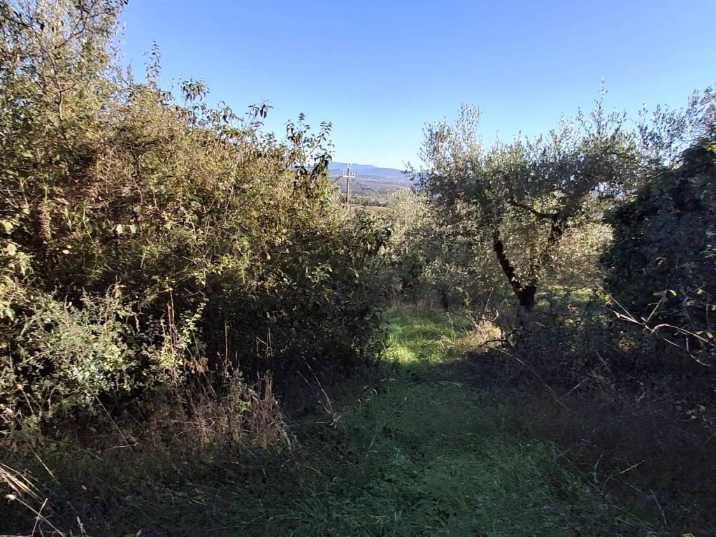 Terreno a Piegaro in Vocabolo Arcisa - Foto 4