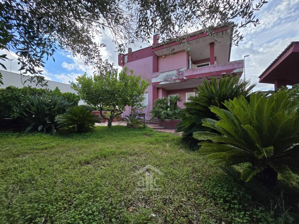 immagine di copertina