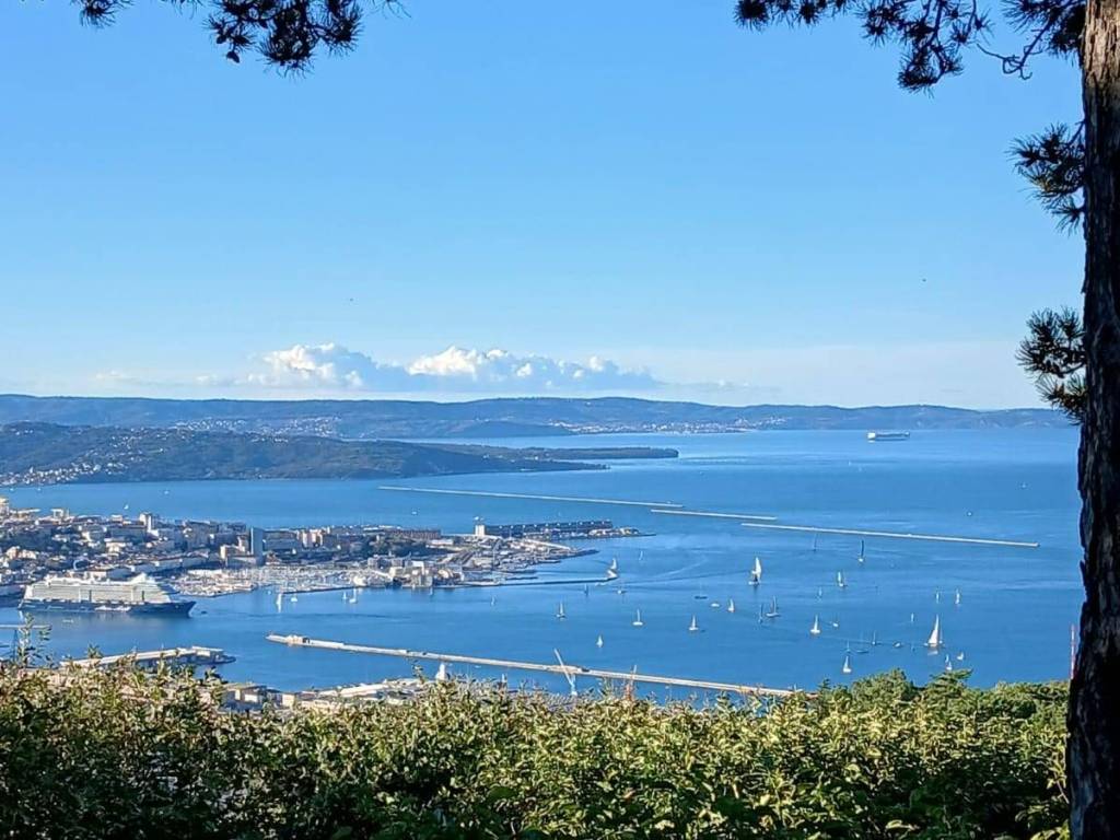 Villa a Trieste in Strada Vicentina - Foto 4