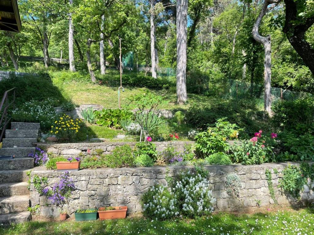 Villa a Trieste in Strada Vicentina - Foto 5