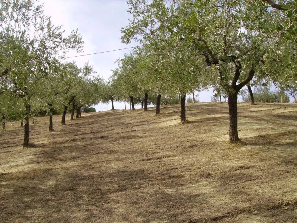 Terreno a Chieti in Via Per Popoli S.N.C. - Foto 2