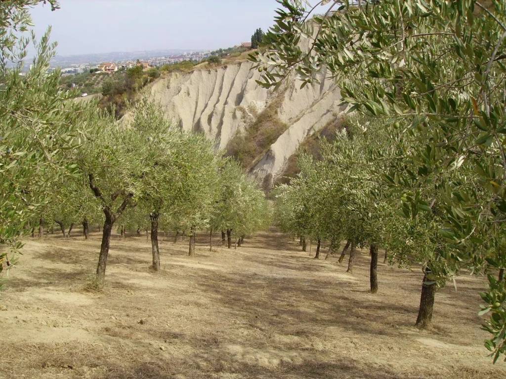 Terreno a Chieti in Via Per Popoli S.N.C. - Foto 3
