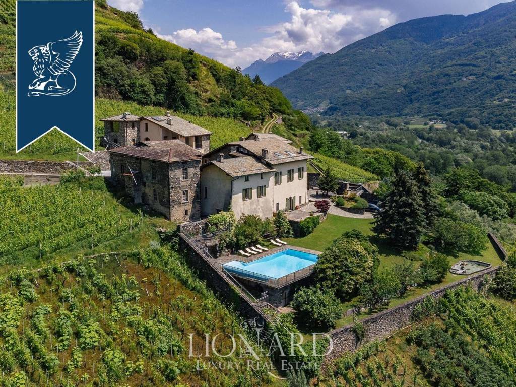 immagine di copertina