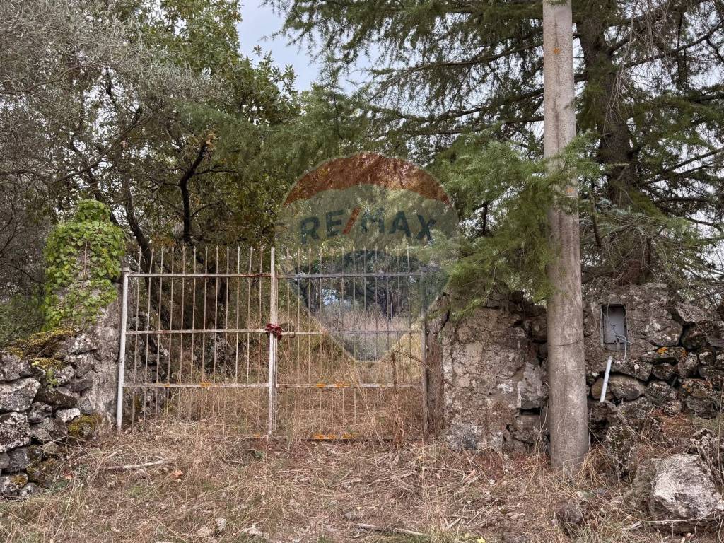 Terreno a Castiglione di sicilia in Contrada Trimarchisa - Foto 2