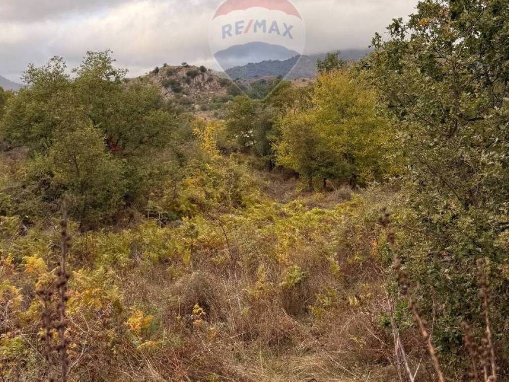 Terreno a Castiglione di sicilia in Contrada Trimarchisa - Foto 5