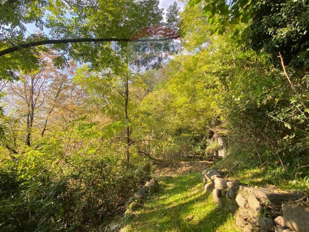 Rustico / casale a Gordona in via motto, 21 - Foto 4