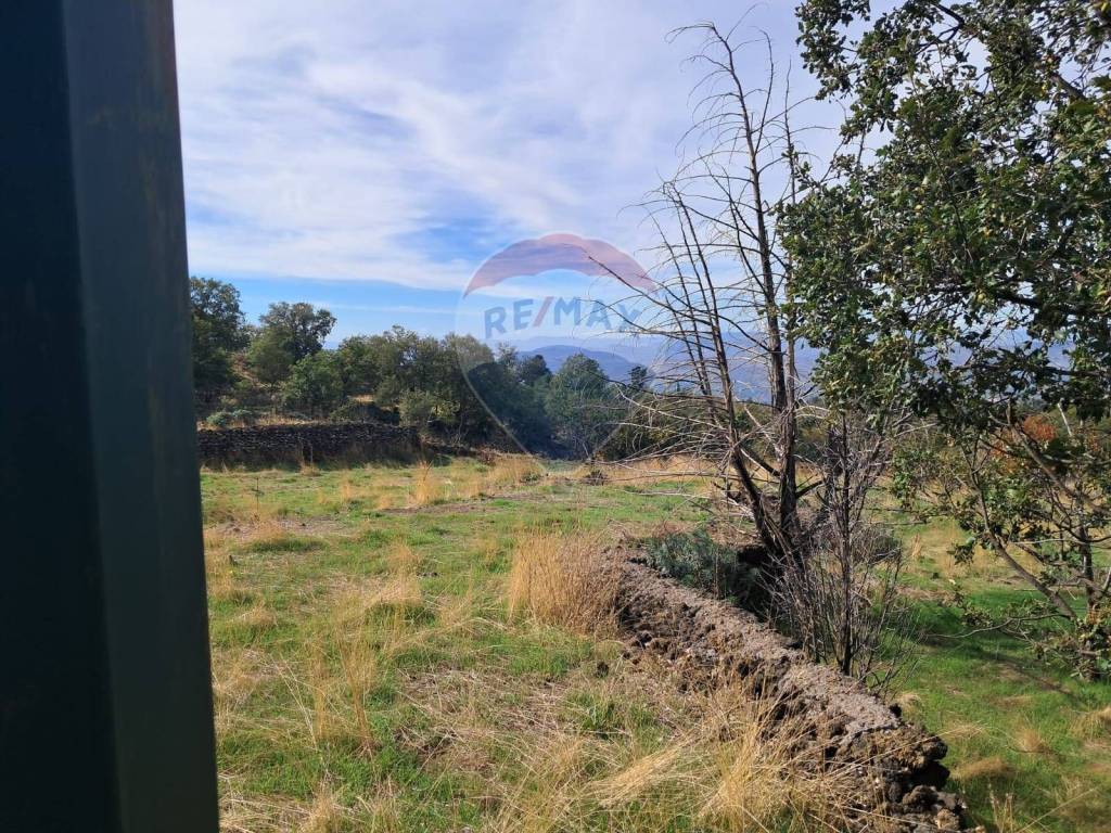 Terreno a Santa maria di licodia in CONTRADA INCHIUSO - Foto 2