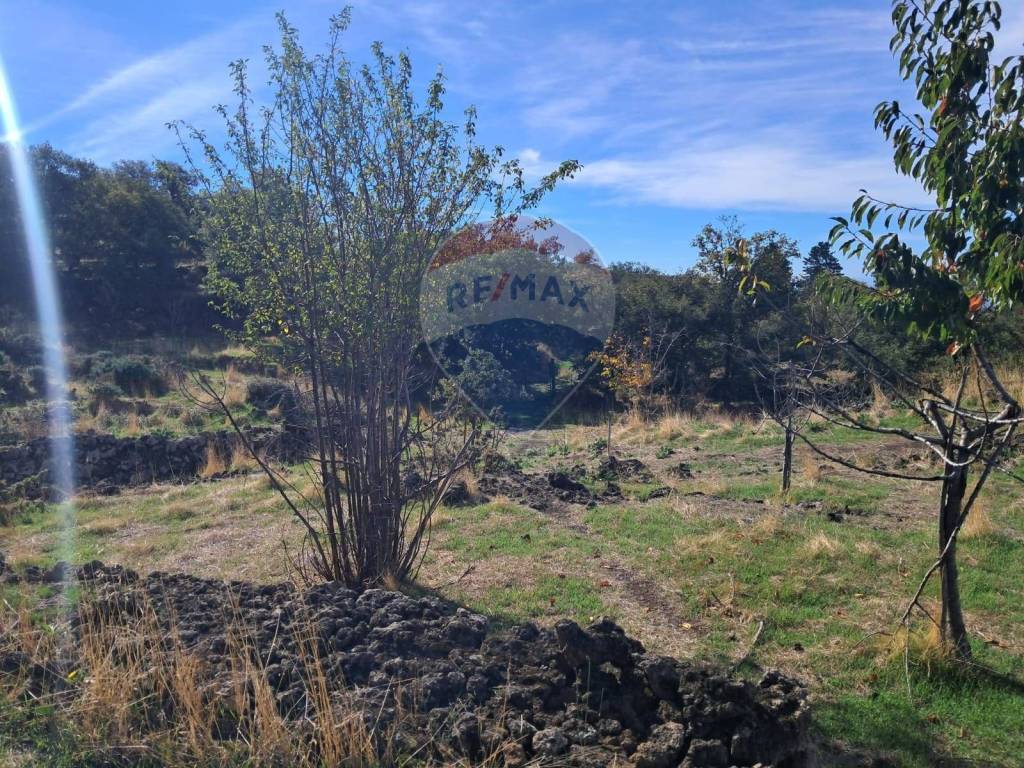 Terreno a Santa maria di licodia in CONTRADA INCHIUSO - Foto 3