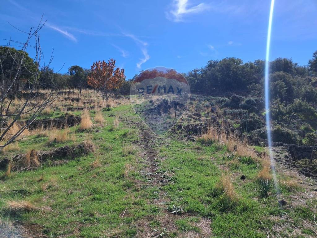 Terreno a Santa maria di licodia in CONTRADA INCHIUSO - Foto 4
