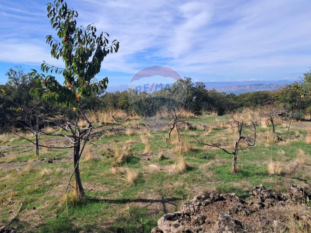 Terreno a Santa maria di licodia in CONTRADA INCHIUSO - Foto 5