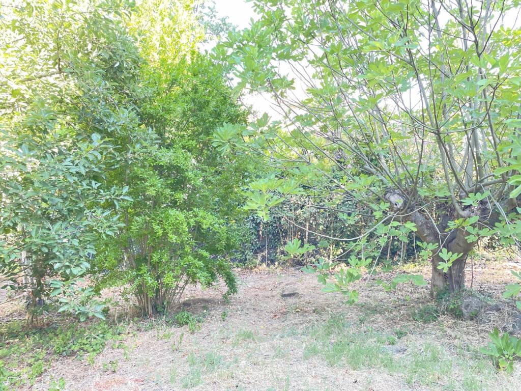 Rustico / casale a Campagnano di roma in Strada Monte Gemini - Foto 4