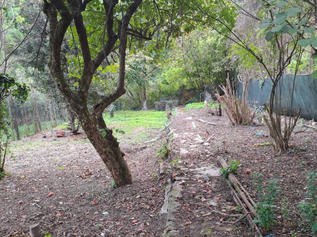 Villa a Stradella - Foto 5