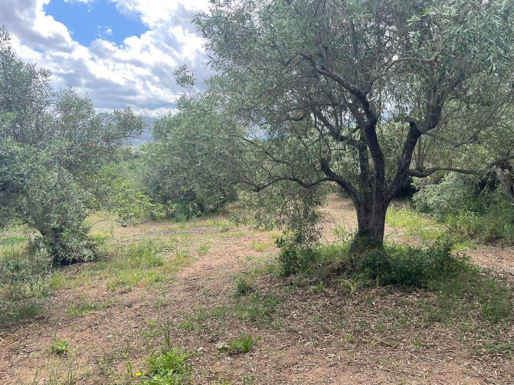 Terreno a Guspini in Guspini - Foto 4