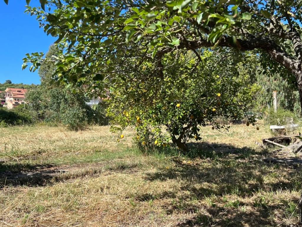 Terreno a Guspini in Guspini - Foto 5
