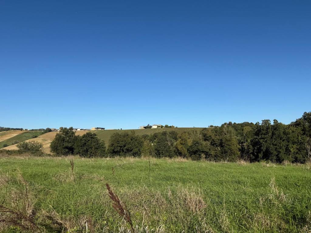 Rustico / casale a Medesano in Strada Carnevala - Foto 4