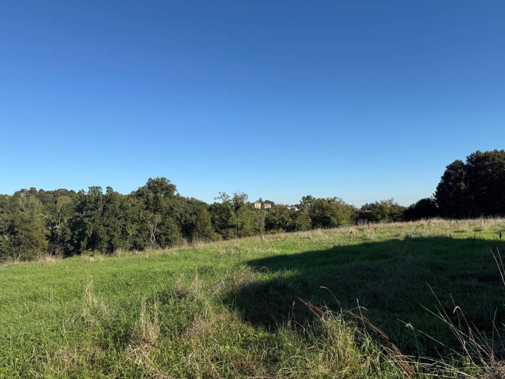 Rustico / casale a Medesano in Strada Carnevala - Foto 5